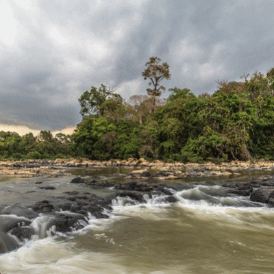 Tour Cao Cấp Nam Cát Tiên 2N1D: Thiên Nhiên Hoang Sơ Rừng Nam Cát Tiên