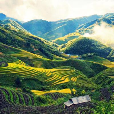 Tour Miền Bắc 5N4D: Sài Gòn - SaPa - Ninh Bình - Hạ Long